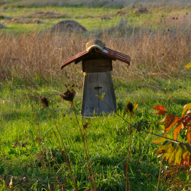 Petites Ruches