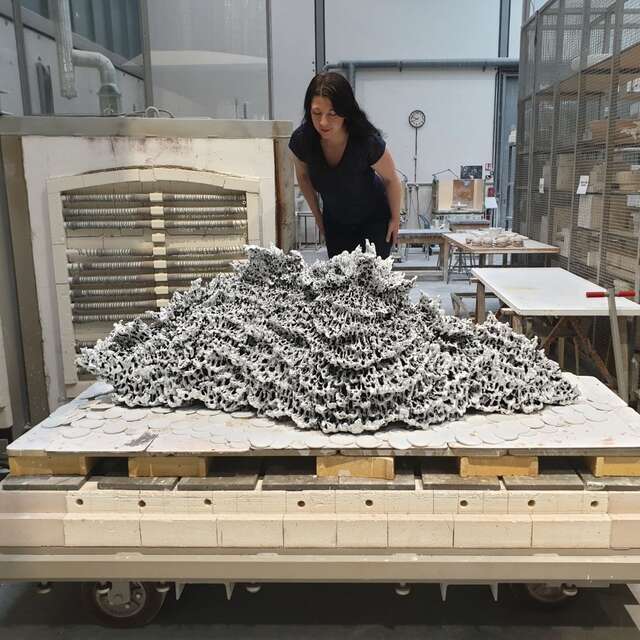 Visite thématique - Rencontre avec Anaïs Lelièvre