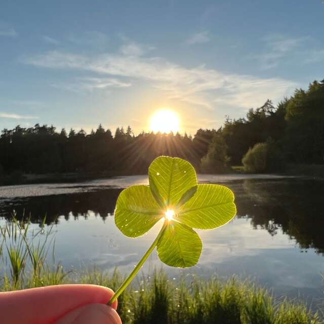 Atelier décor sur porcelaine - Amulette chargée en énergie