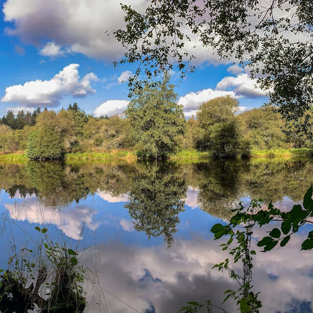 Parcours Pêche Carpe de nuit sur la Vienne à Royères