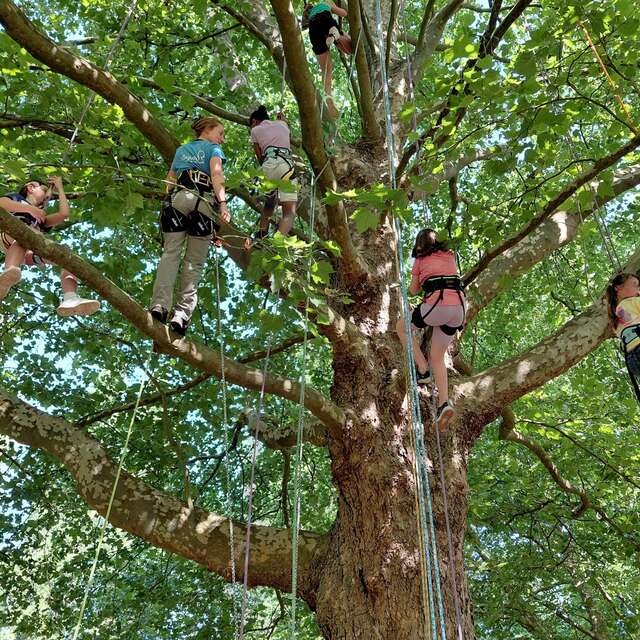 Clairon : animation nature et grimpe d'arbres