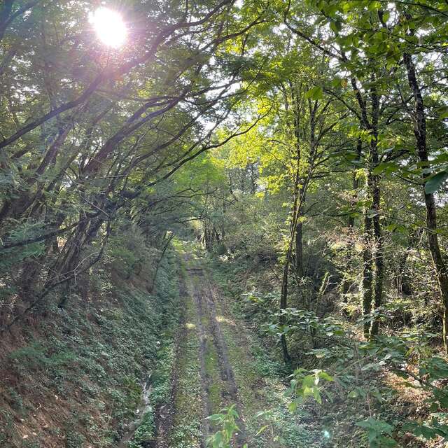 Course nature des 7 clochers