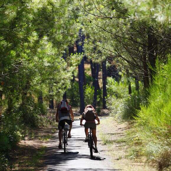Piste cyclable Pontenx les Forges - Mimizan Plage