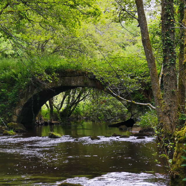 Boucle Locale N°52 Sardent et la vallée de la Gosne