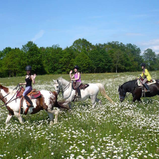 Centre équestre - Moulin d'Aiguemarde
