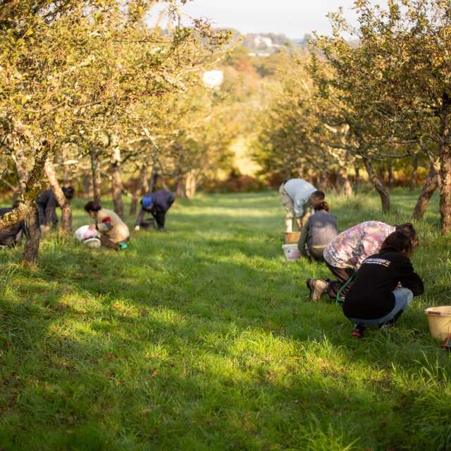 Ici, nos savoir-faire - Visite au Domaine de la Haute Futaie