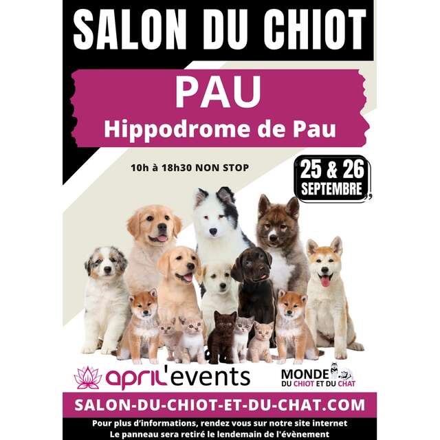Salon du chiot