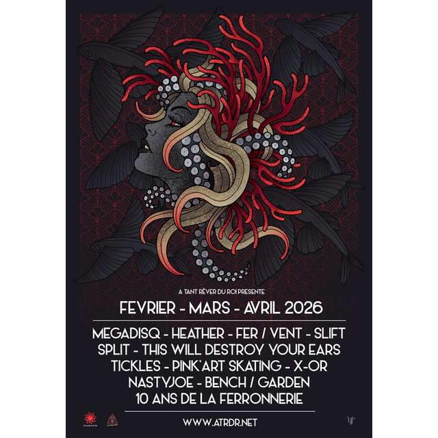 Concert de Tickles et Split