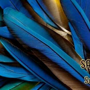 Concert : Elle tourne