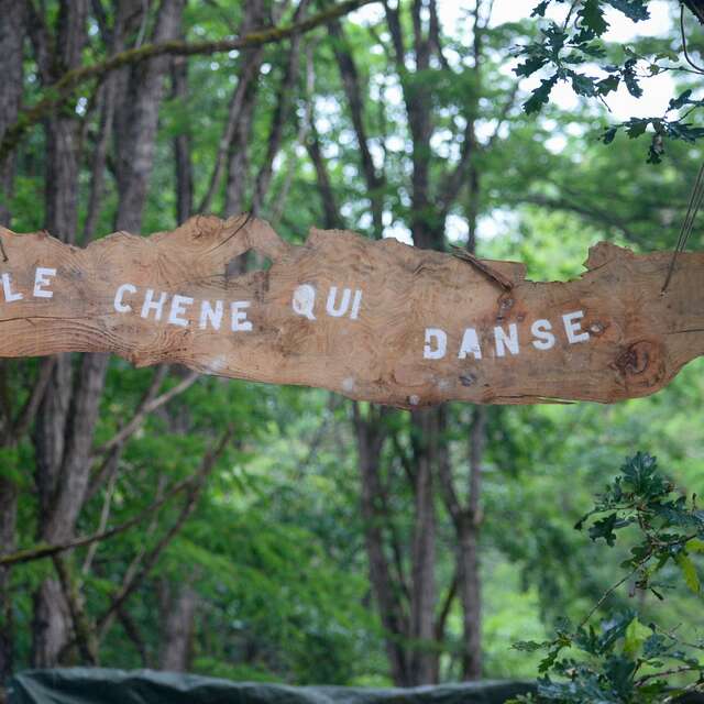 Les Nuits des forêts - À l'écoute des vivants