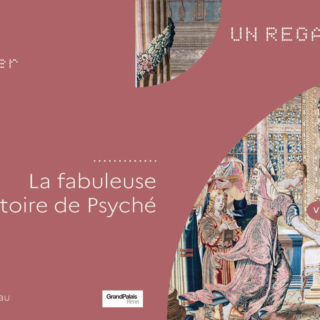Visite avec conférencier "Regard sur La fabuleuse histoire de Psyché"