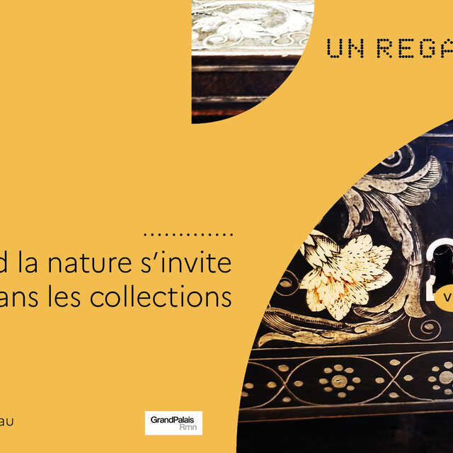Quand la nature s’invite dans les collections