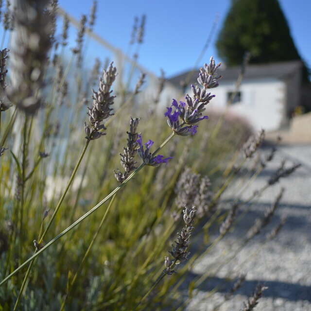 Le Petit Clos