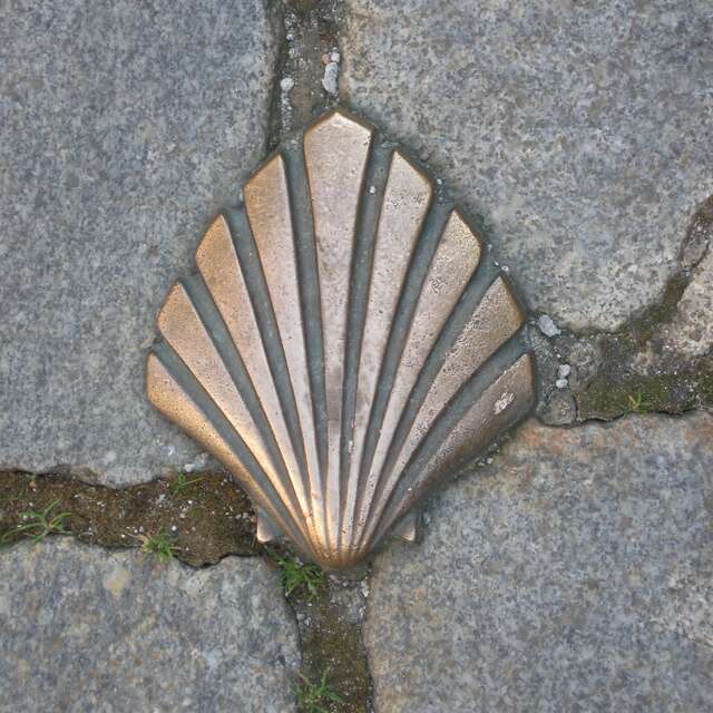 Sur le chemin de Saint-Jacques-de-Compostelle - Visite Guidée