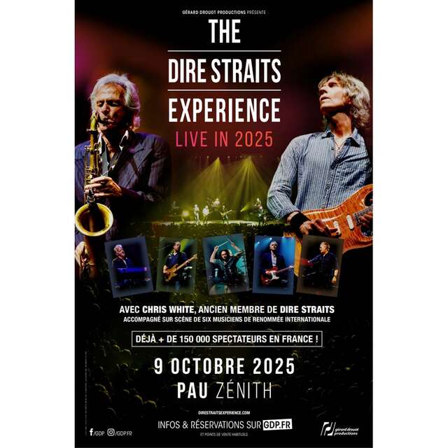 THE DIRE STRAITS EXPERIENCE
