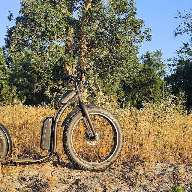 Découvrez Pontenx en côtoyant les eucalyptus, chênes et pins maritime tout en longeant le courant des Forges.