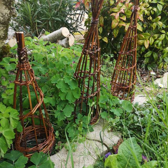 Atelier vannerie : tuteur conique en osier