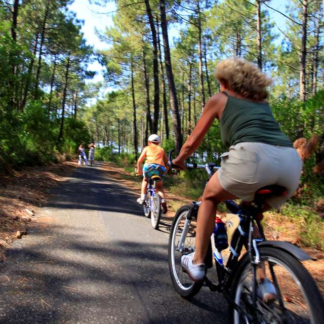 Vélodyssée - Piste cyclable des Dunes