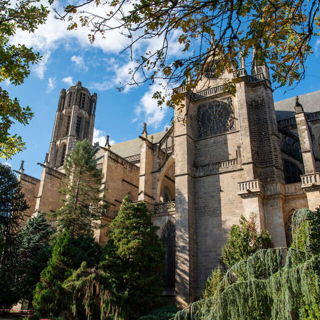 Visite guidée - Cathédrale Saint-Etienne