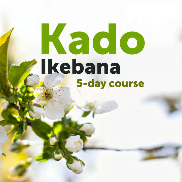 Kado-Ikebana - stage au centre Shambhala