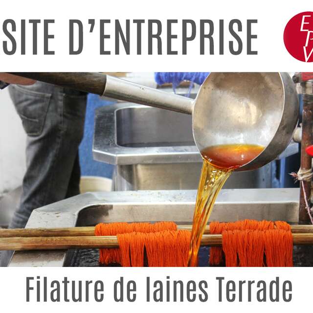 VISITE COMMENTÉE - Filature de laines Terrade