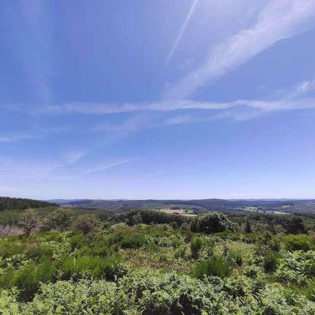 GRP® Monts et Barrages en Limousin - Etape 4 - Du lac de Vassivière (Auphelle) à Nedde