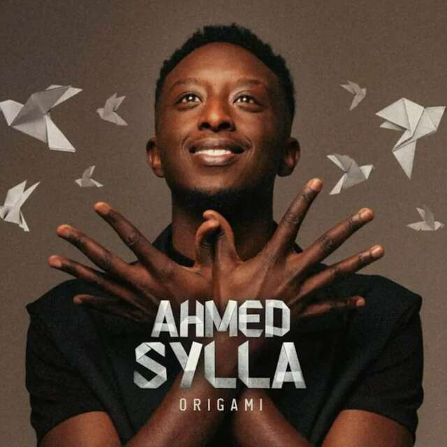 Ahmed Sylla - Origami