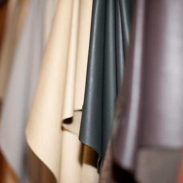 Atelier : Dans la peau de l'animal