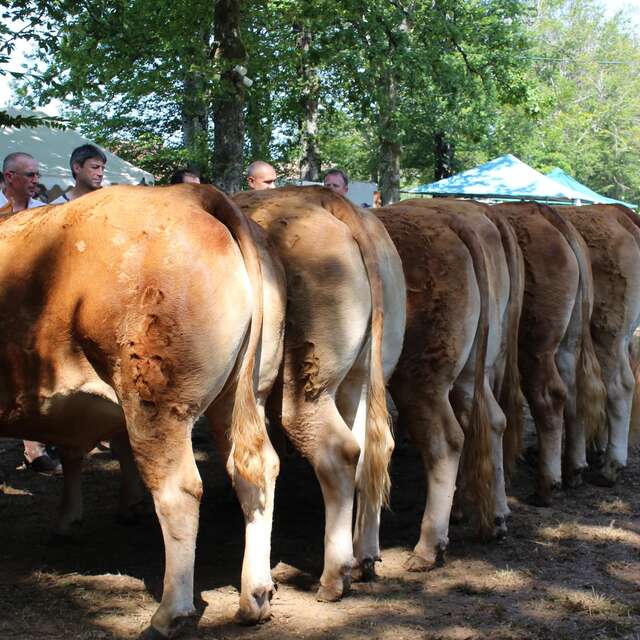 Comice Agricole Estival Interdépartemental