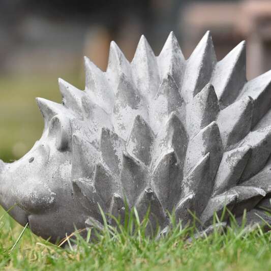 Atelier modelage - les petits animaux d'hiver