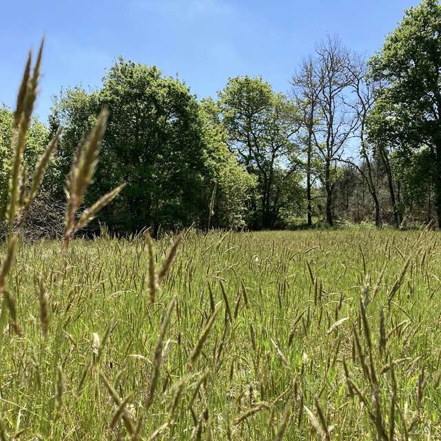 Découverte du milieu naturel de Bouricos
