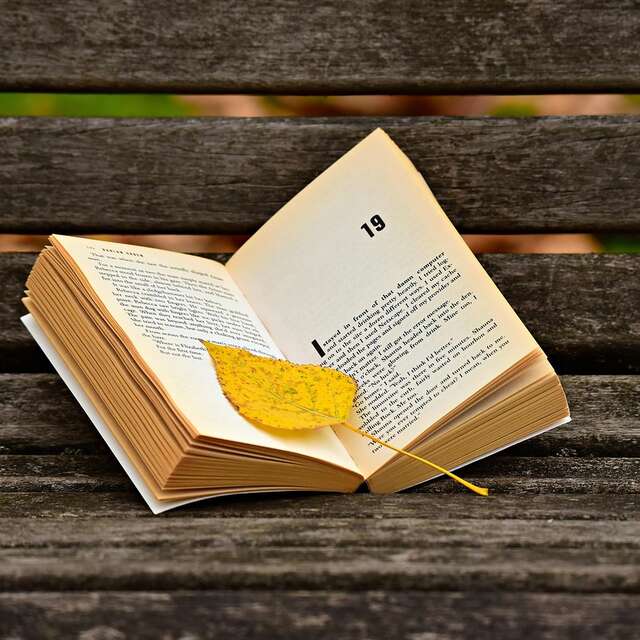 Lecture collective : Arpentage