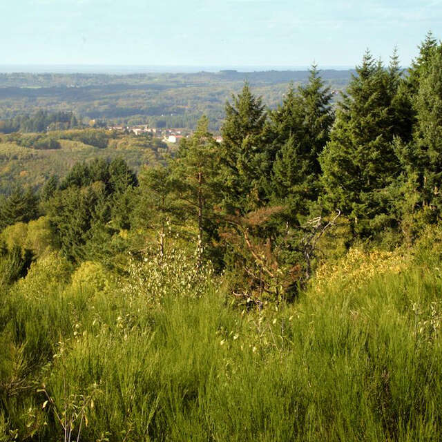 Le sentier des crêtes