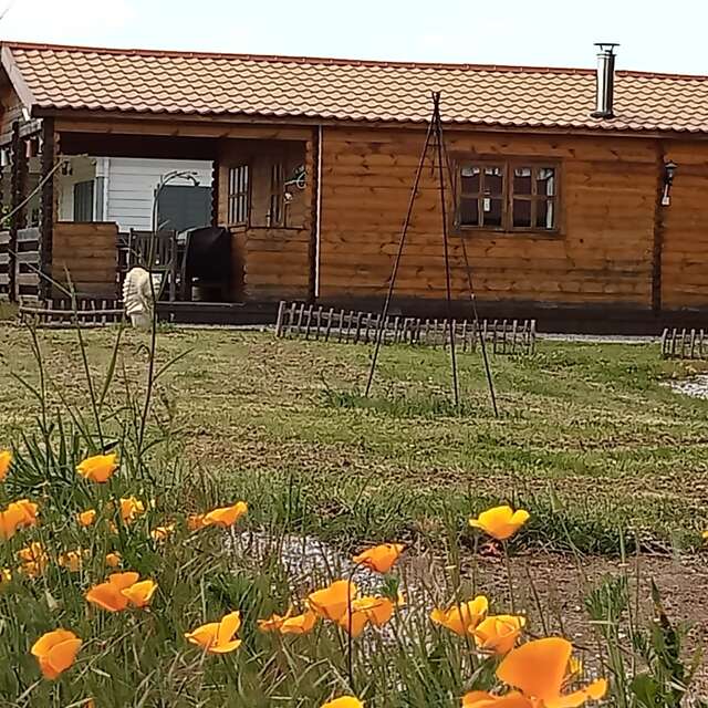 Chalet Florida (Camping La Perle)