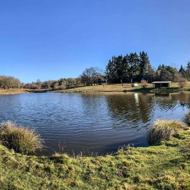 Carpodrome, Le Rochelot