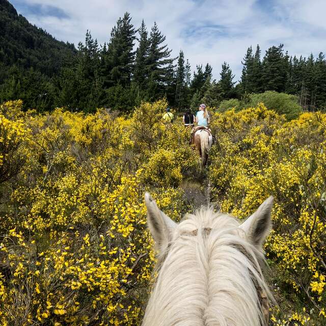 Balade à cheval