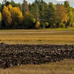 Comice agricole - Les Biards (Feytiat)