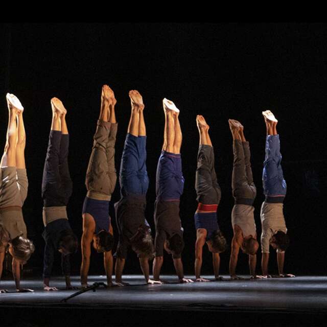 Le complexe de l'autruche