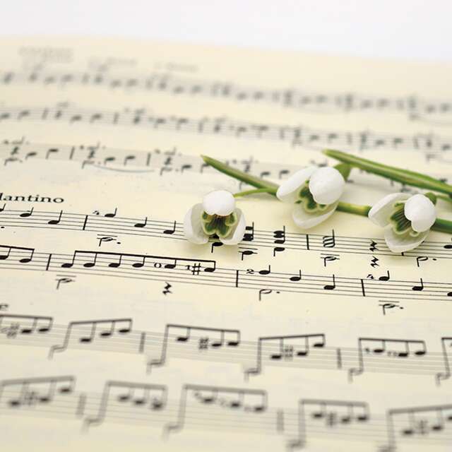 Concert Audrey Pepin-Boutin et Les Barbachoeurs