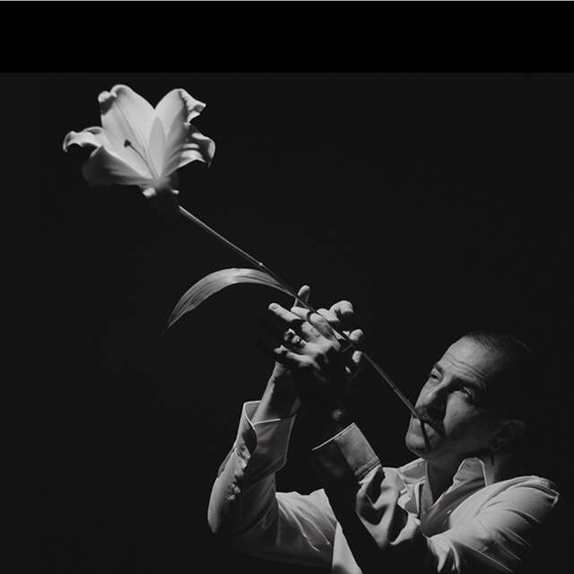 Avishan Cohen
