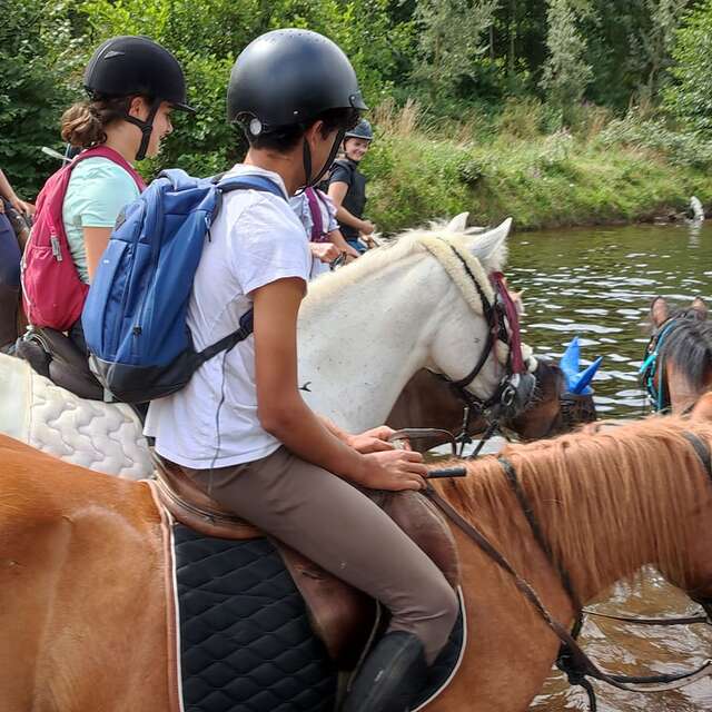Les Écuries de Cordelas, centre équestre et pensions Limoges