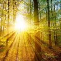 Concours photo 2026 : Impression soleil levant ou couchant