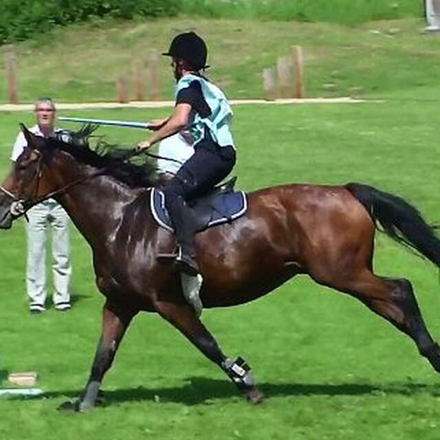 Fête de la St-Martial