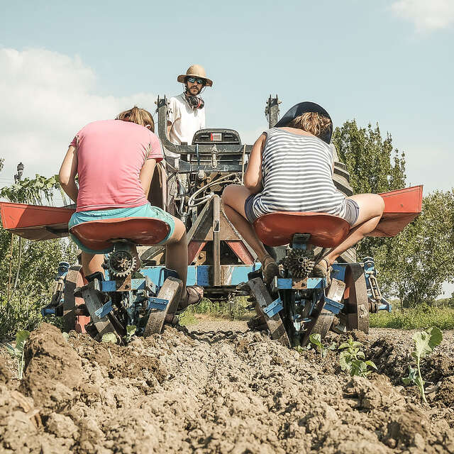Terre Nourricière, les rencontres du manger local