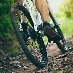 Finale du Trophée régional des jeunes de Cyclo-cross