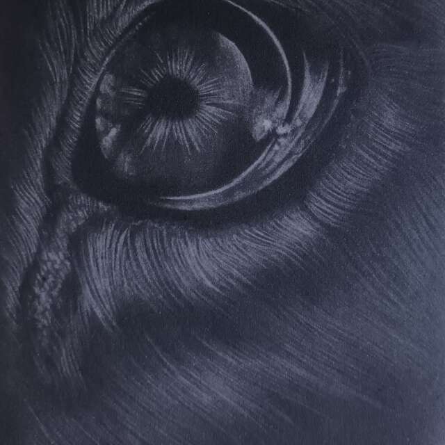 Exposition de gravures