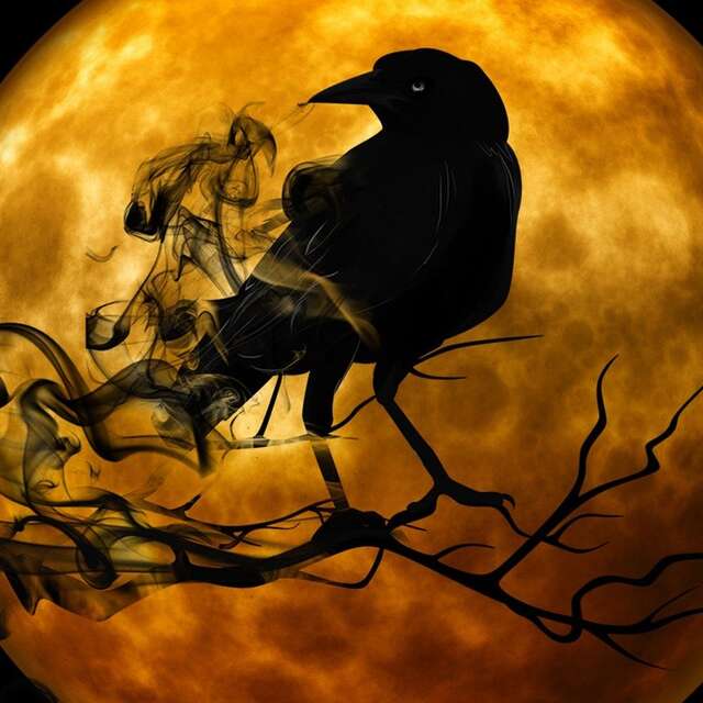 Fairynight