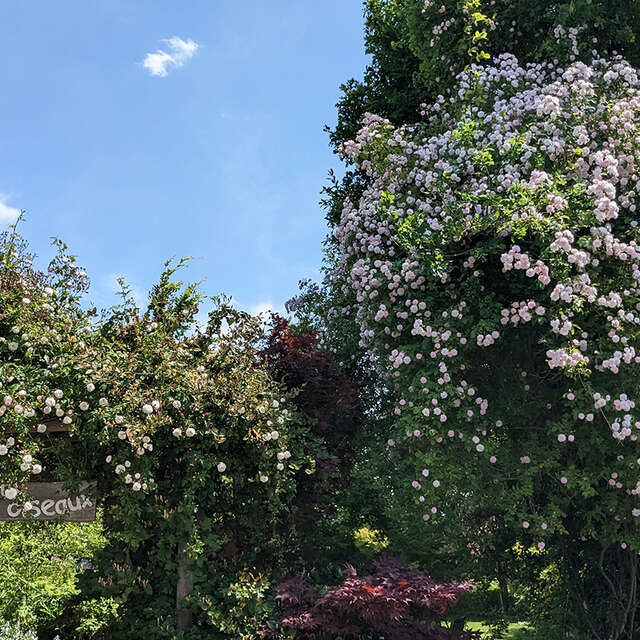 Le Jardin aux Oiseaux
