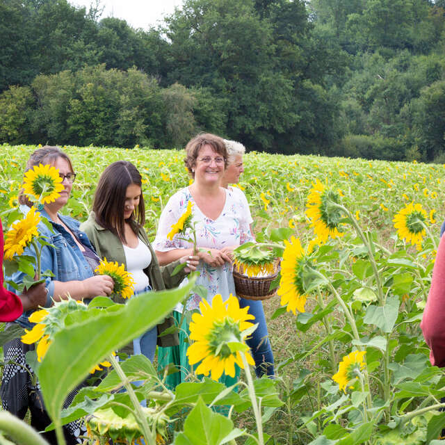 Ici, nos savoir-faire - La ferme de Fardissou