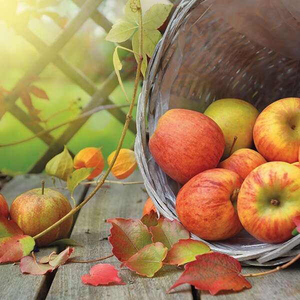 30ième Fête du Cidre